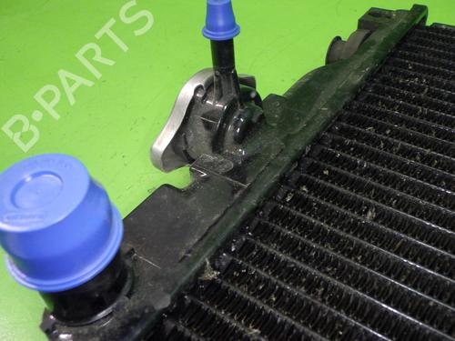 Water radiator SUZUKI ALTO IV (EF, SH410_) 1.0 (SH410) | BP29872916M31
