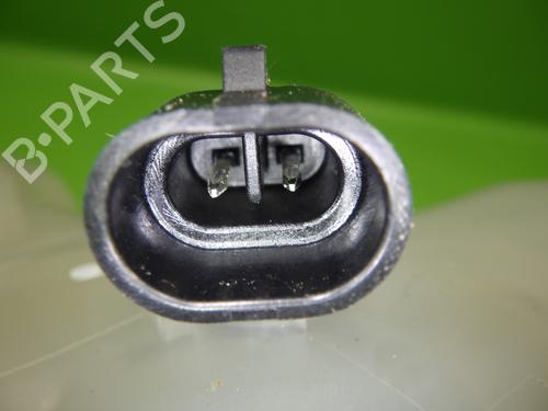 Expansion tank OPEL INSIGNIA A Sports Tourer (G09) 2.0 Turbo 4x4 (35) | BP20976787C120 