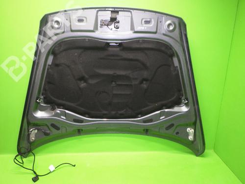 Hood VW TOUAREG (7LA, 7L6, 7L7) 3.0 V6 TDI | BP6386393C1 