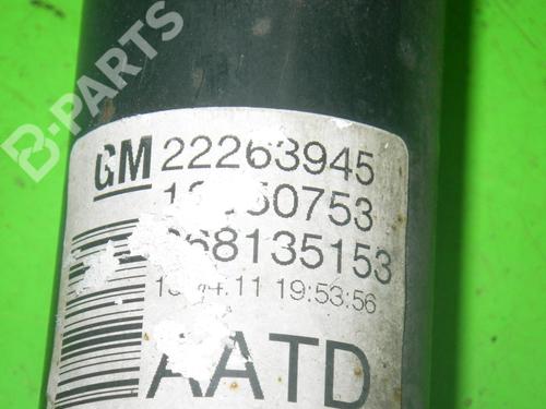Left rear shock absorber OPEL MERIVA B MPV (S10) 1.4 (75) | BP6665899M18 