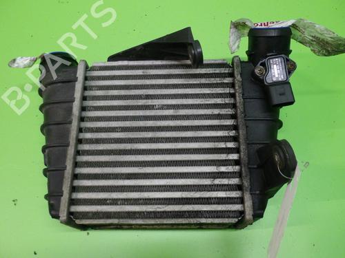Used Intercooler SKODA ROOMSTER (5J7) 1.9 TDI (105 hp) 30629228