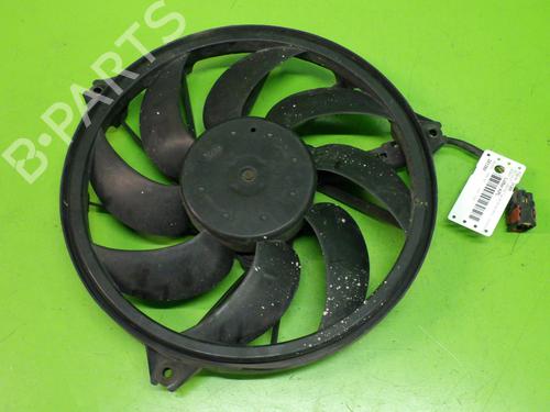 Elektronisk modul PEUGEOT 206 Hatchback (2A/C) 1.4 HDi eco 70 (68 hp) 12823349