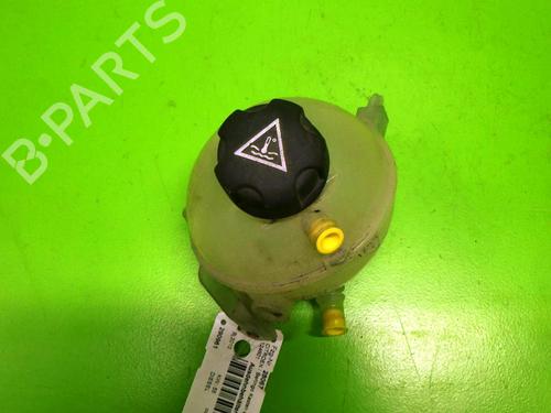 Used Expansion tank CITROËN BERLINGO MULTISPACE (B9) 1.6 HDi 75 / BlueHDi 75 (75 hp) 14723232