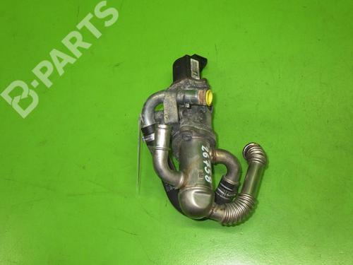 Egr FIAT FIORINO Box Body/MPV (225_) 1.3 D Multijet (225BXD1A, 225BXB1A, 225BXB11) | BP6390266M69 