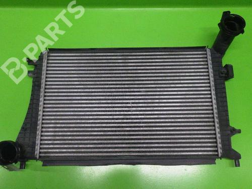 Intercooler SEAT LEON (1P1) 1.9 TDI (105 hp) 6394019