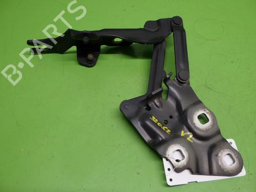 Hinge/Door check strap BMW X3 (F25) xDrive 20 d | BP25981508C146 