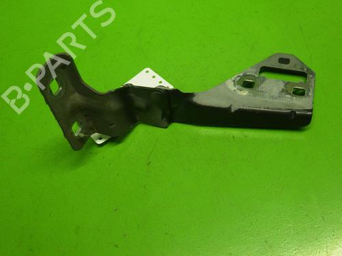 Hinge/Door check strap RENAULT MEGANE II (BM0/1_, CM0/1_) 1.9 dCi (BM0G, CM0G) | BP14733113C146
