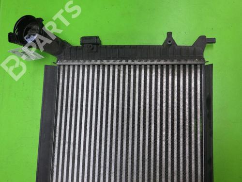 Intercooler VW PASSAT B6 (3C2) 2.0 TDI | BP6381936M30 