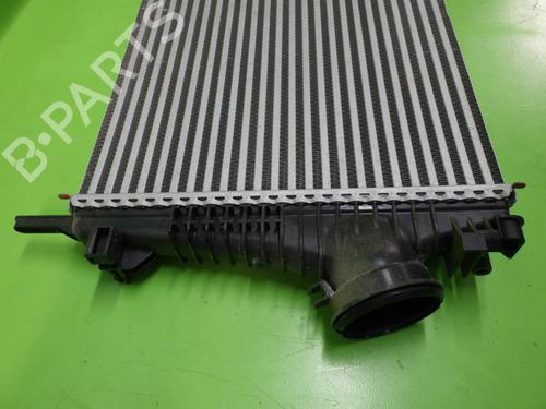 Intercooler OPEL INSIGNIA A Sports Tourer (G09) 2.0 Turbo 4x4 (35) | BP19170009M30 