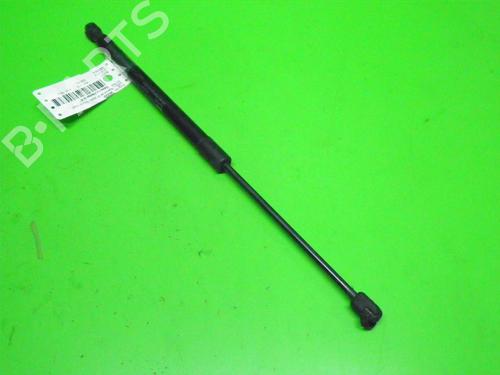 Used Tailgate lift support OPEL SIGNUM Hatchback (Z03) 1.9 CDTI (F48) (150 hp) 14713475