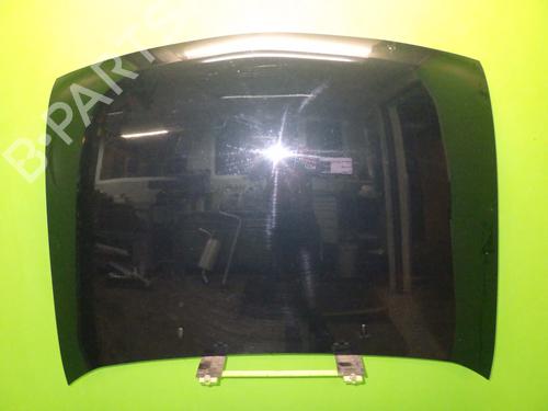 Panser FORD FIESTA IV (JA_, JB_) 1.25 i 16V (75 hp) 6407940