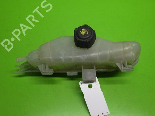 Used Expansion tank RENAULT CLIO III (BR0/1, CR0/1) 1.2 16V (BR02, BR0J, BR11, CR02, CR0J, CR11) (75 hp) 14722075