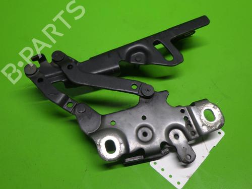 Hinge/Door check strap BMW 3 (F30, F80) 318 d xDrive | BP14730531C146 