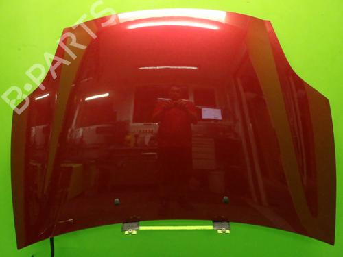 Used Hood FIAT BRAVO II (198_) 1.6 D Multijet (198AXL1B) (120 hp) 14362372