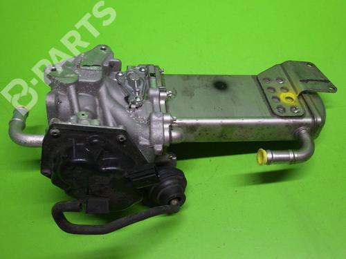 Egr AUDI A3 (8P1) 2.0 TDI 16V | BP6377370M69 