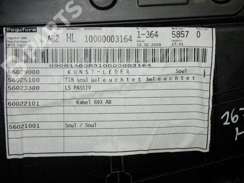 Rear left panel AUDI A3 (8P1) 1.9 TDI | BP6664707C60