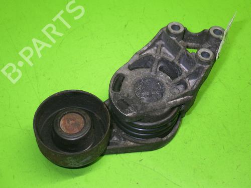 Used Pulley SEAT IBIZA III (6L1) 1.4 TDI (80 hp) 14734550