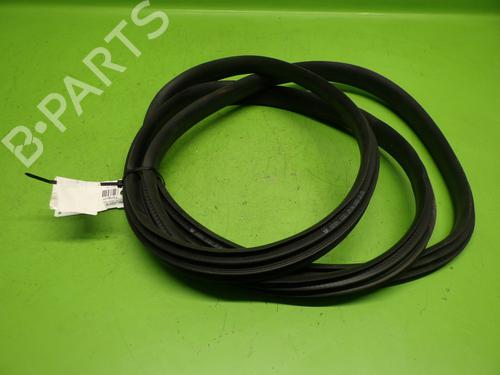 Used Rubber door seal RENAULT ZOE (BFM_) ZOE (BFMC, BFMD) (136 hp) 29017175