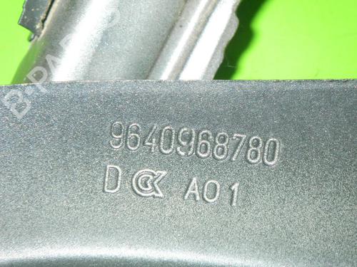 Hinge/Door check strap PEUGEOT 407 SW (6E_, 6D_) 2.0 HDi 135 | BP14716372C146 