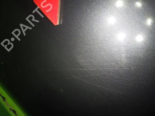 Right front door OPEL MERIVA A MPV (X03) 1.7 CDTI (E75) | BP24651465C3 