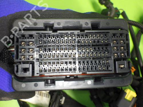 Wiring harness OPEL GRANDLAND / GRANDLAND X (A18, P1UO) 1.2 (75) | BP17861921E16