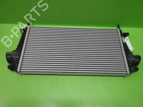 Used Intercooler OPEL INSIGNIA A Sports Tourer (G09) 2.0 Turbo 4x4 (35) (220 hp) 19170009
