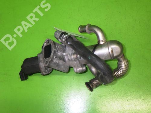 Egr FIAT FIORINO Box Body/MPV (225_) 1.3 D Multijet (225BXD1A, 225BXB1A, 225BXB11) | BP6390266M69 