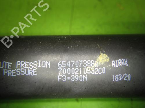 Tailgate lift support RENAULT ZOE (BFM_) ZOE (BFMC, BFMD) | BP29046437C138