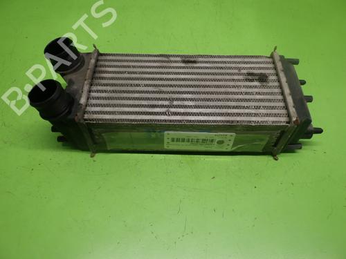 Used Intercooler FORD TRANSIT COURIER B460 Box Body/MPV 1.6 TDCi (95 hp) 28711983