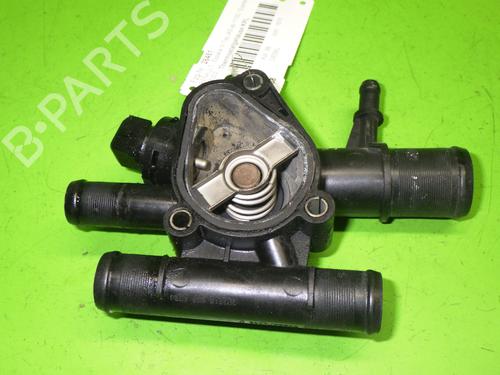 Termostathus RENAULT ESPACE IV (JK0/1_) 1.9 dCi (JK0U, JK0G) (120 hp) 14734103