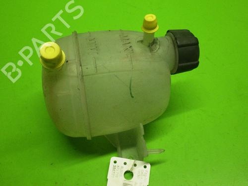 Ekspansjonstank DACIA SANDERO 1.4 (BS0C, BS0A, BS0G, BS1F, BS0E) (75 hp) 14734649