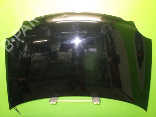 Used Hood VW POLO IV (9N_, 9A_) 1.2 (54 hp) 16856385