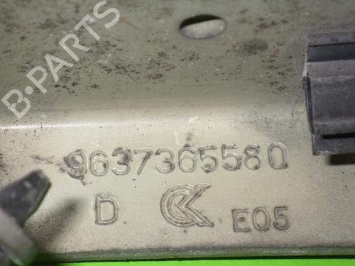 Hinge/Door check strap CITROËN C3 I (FC_, FN_) 1.4 HDi | BP14733547C146 
