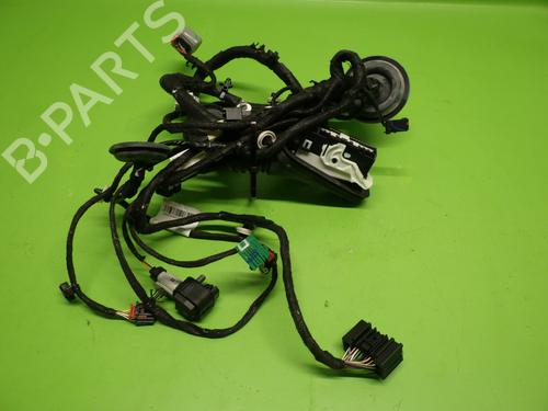 Wiring harness OPEL INSIGNIA B Country Tourer (Z18) 2.0 CDTi (47) | BP20228669E16 