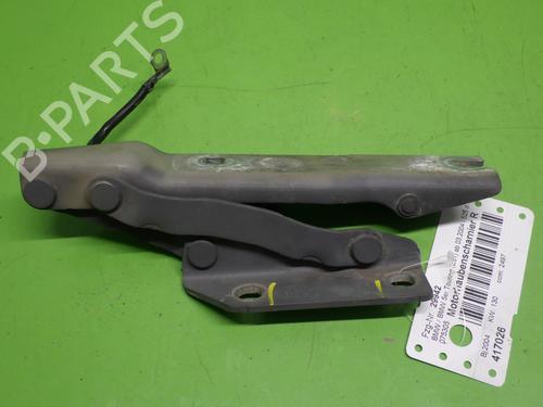 Used Hinge/Door check strap BMW 5 Touring (E61) 525 d (177 hp) 22361324