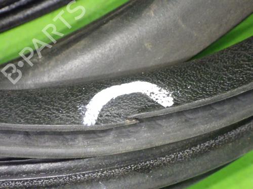 Rubber door seal LANCIA YPSILON (843_) 1.3 JTD (843.AXD11, 843.AXD1A) | BP14743305C142 