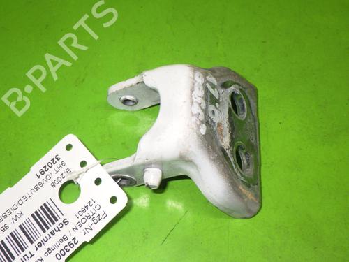 Hinge/Door check strap CITROËN BERLINGO MULTISPACE (B9) 1.6 HDi 75 / BlueHDi 75 | BP14727621C146 