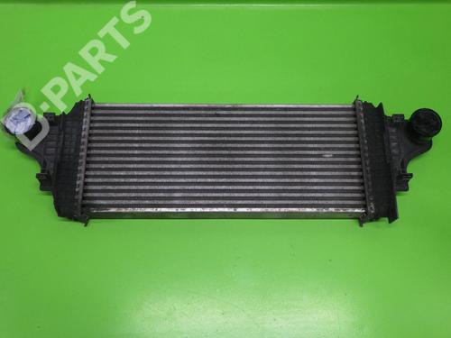 Ladeluftkühler MERCEDES-BENZ M-CLASS (W164) ML 280 CDI 4-matic (164.120) | BP6395396M30 