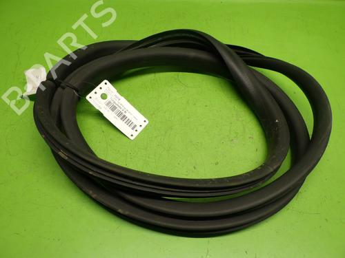Used Rubber door seal RENAULT ZOE (BFM_) ZOE (BFMC, BFMD) (136 hp) 29017177