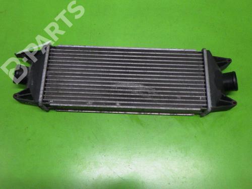 Used Intercooler IVECO DAILY III Platform/Chassis 29 L 12 (ALKA41A1, AHKA64A1, ALLA51A1) (116 hp) 6383324
