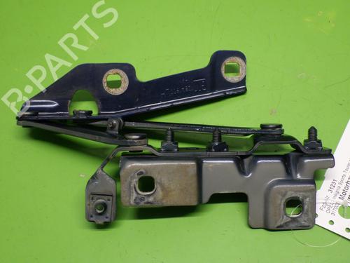 Hinge/Door check strap OPEL INSIGNIA A Sports Tourer (G09) 2.0 Turbo 4x4 (35) | BP20976772C146 