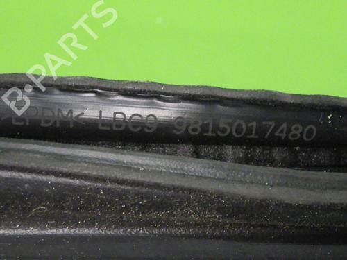 Rubber door seal OPEL GRANDLAND / GRANDLAND X (A18, P1UO) 1.2 (75) | BP17610490C142 