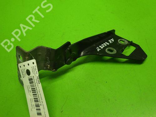 Hinge/Door check strap RENAULT MEGANE II (BM0/1_, CM0/1_) 1.9 dCi (BM0G, CM0G) | BP14733113C146
