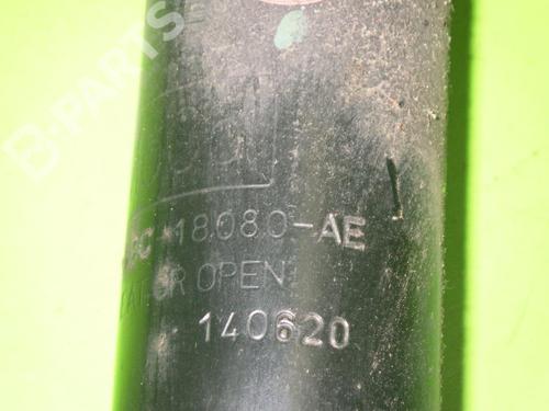 Left rear shock absorber FORD FIESTA VI (CB1, CCN) 1.25 | BP6651530M18 