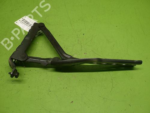 Hinge/Door check strap SKODA FABIA II (542) 1.2 TSI | BP28712110C146 