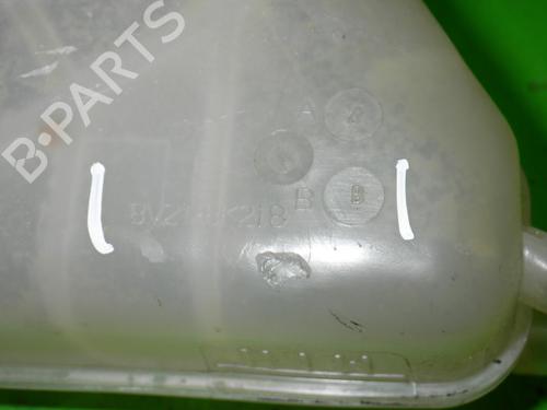 Expansion tank FORD FIESTA VI (CB1, CCN) 1.4 TDCi | BP14713788C120 