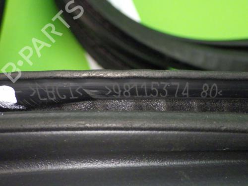 Rubber door seal OPEL GRANDLAND / GRANDLAND X (A18, P1UO) 1.2 (75) | BP17610489C142 