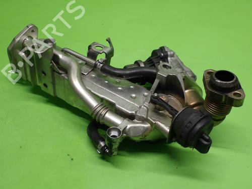 Used Egr BMW 5 (F10) 520 d (190 hp) 18251296