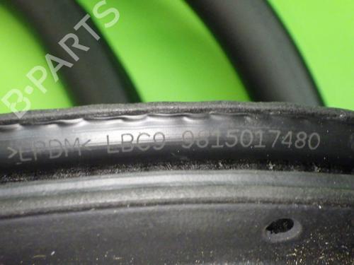 Rubber door seal OPEL GRANDLAND / GRANDLAND X (A18, P1UO) 1.2 (75) | BP17610488C142 