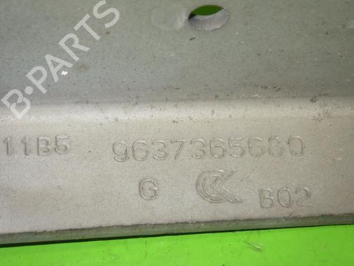 Hinge/Door check strap CITROËN C3 I (FC_, FN_) 1.4 HDi | BP14733546C146 
